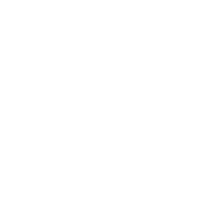 X icon